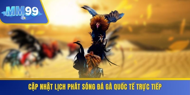 Cập nhật lịch phát sóng đá gà quốc tế trực tiếp