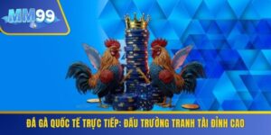 Đá Gà Quốc Tế Trực Tiếp
