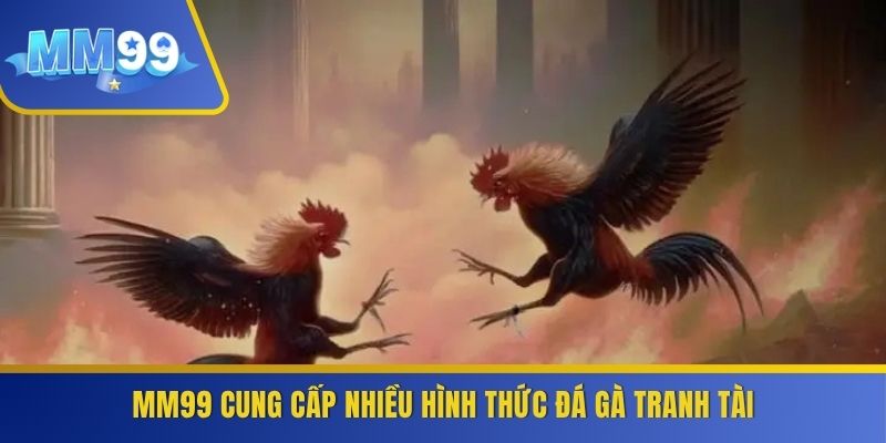 MM99 cung cấp nhiều hình thức đá gà tranh tài